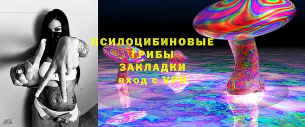 хмурый Алексеевка