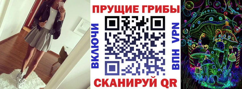 blacksprut ССЫЛКА  Тейково  Галлюциногенные грибы Magic Shrooms 